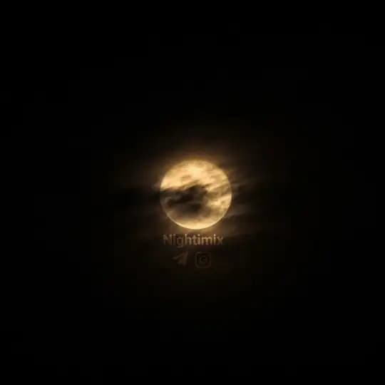 ' 𝘓𝘪𝘷𝘪𝘥𝘮𝘪𝘯𝘥 '