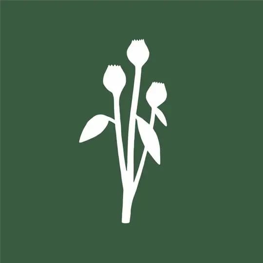 Цветочное бюро ЛОПУХИ у Лопухинского сада — lopuhi.flowers