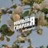 Молодая Гвардия | Люберцы