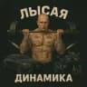 ЛЫСАЯ ДИНАМИКА
