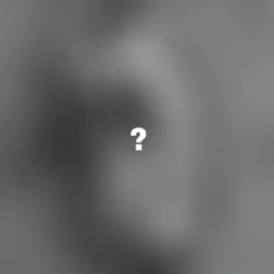 Plastic chat