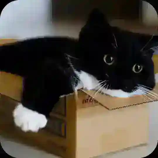 Some channel