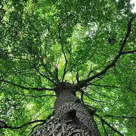 ✨چنل اصلی خاله مهتاب❤