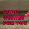 All Good Wishes 🌼🌿