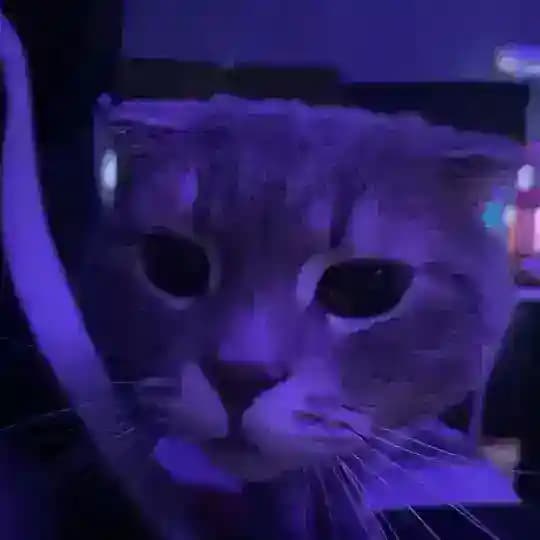 Mariachi