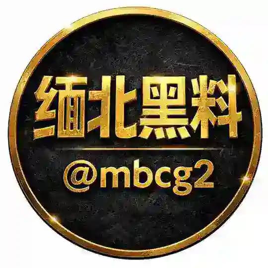 缅北黑料PG中文吃瓜