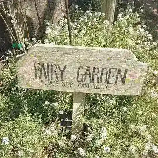 𝗉𝗂𝗑𝗂𝖾 𝗆𝖻𝗍𝗂 ( 🖤 ایران ) Profile