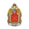 Оперативный МЧС Петербурга