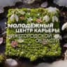 Молодёжный центр карьеры Нижегородской области