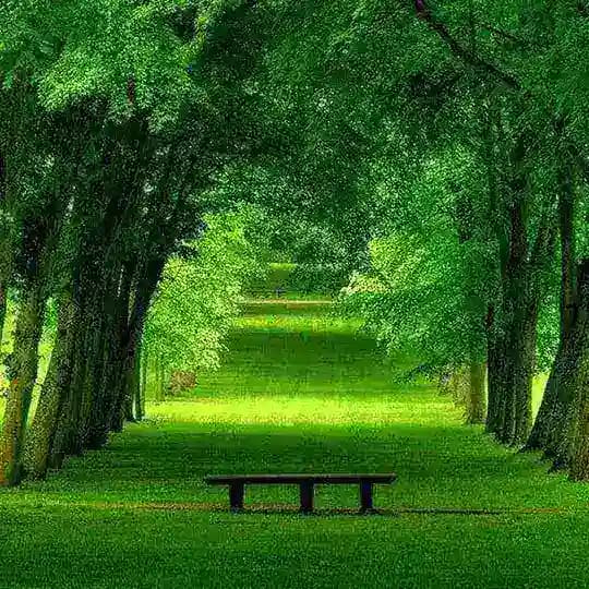روانشناسی 🍃 موفقیت انگیزشی آرامش
