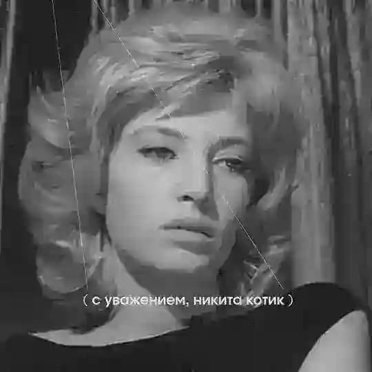 с уважением, никита котик