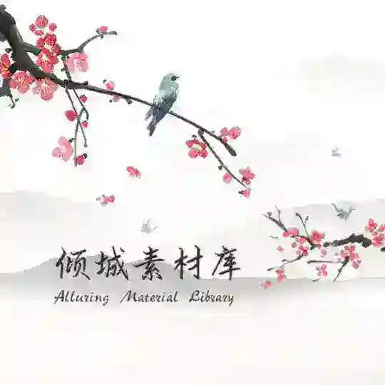 倾城素材库