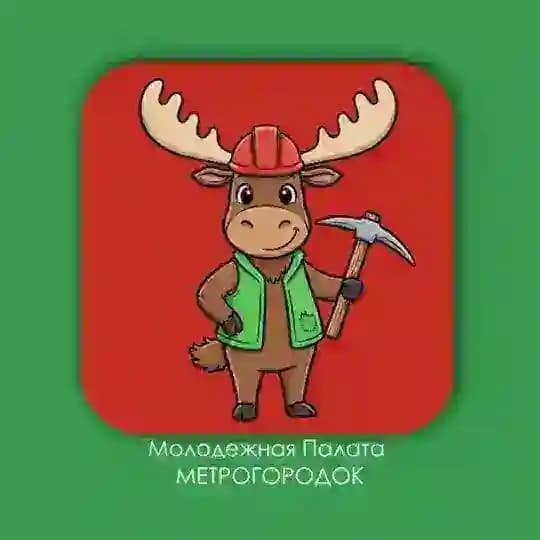 Метрогородок - Молодёжная Палата