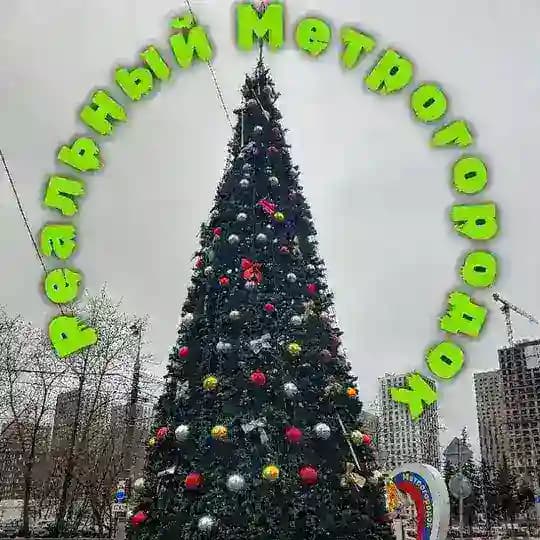 РЕАЛЬНЫЙ МЕТРОГОРОДОК