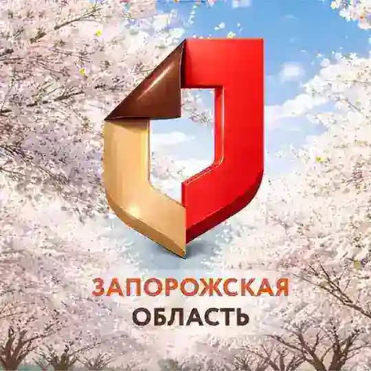 Мои Документы Запорожская область