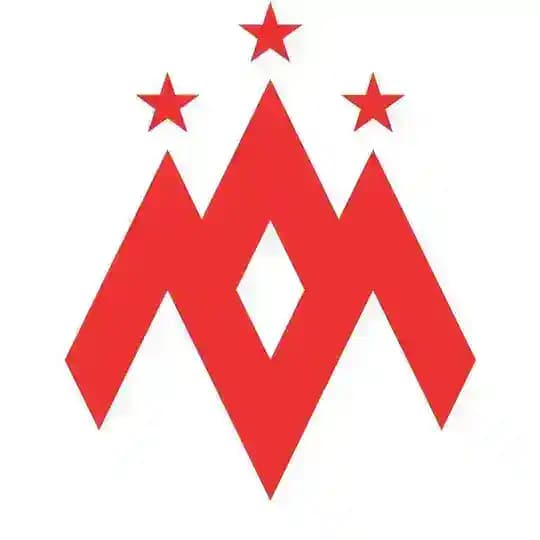 ГБУ ДО «МГФСО»