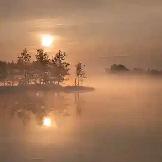 Рисую и не только с любовью