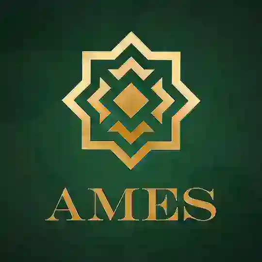 Це AMES: коментарі, оцінки, погляди