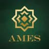 Це AMES: коментарі, оцінки, погляди