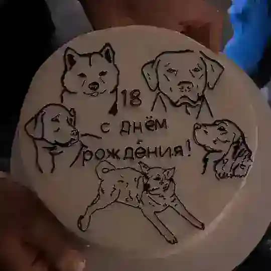 Собачки на каникулах