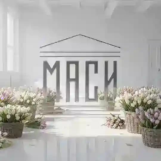 МГТУ-МАСИ