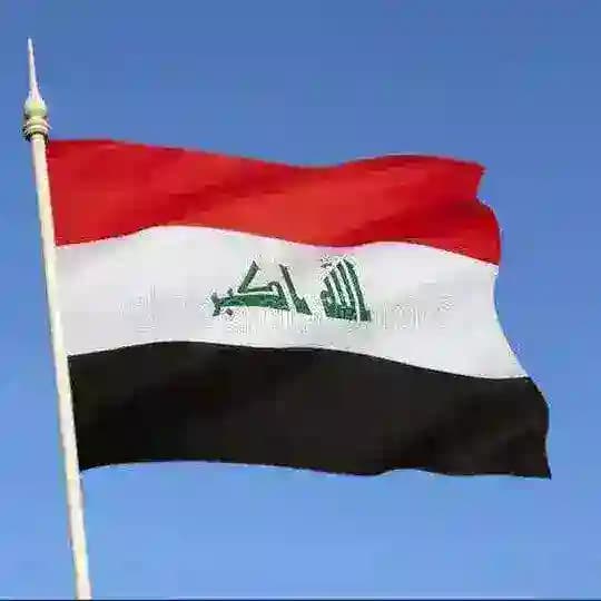 خطط يومية للمرحلة الابتدائية