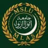 Модель Лиги арабских государств МГЛУ 2026 | MLAS MSLU
