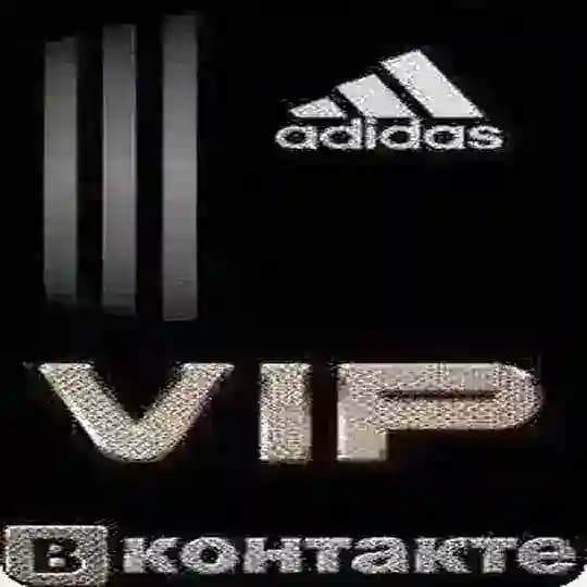 мотви