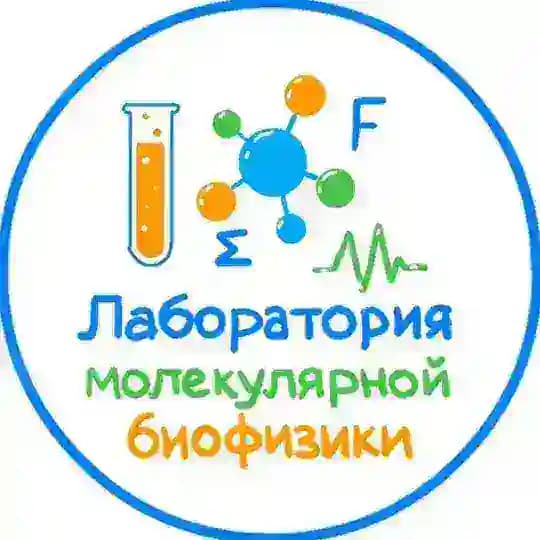 Лаборатория молекулярной биофизики | ГНЦ ИБХ РАН
