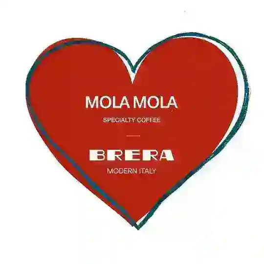 Mola Mola | Brera Brera