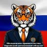 Молодёжное правительство Еврейской автономной области