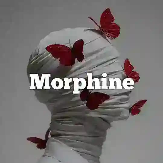𝐦𝐨𝐫𝐩𝐡𝐢𝐧𝐞