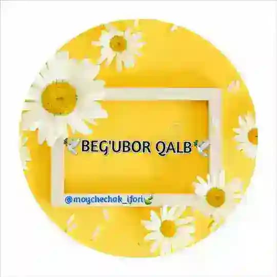 BEG’UBOR QALB🕊