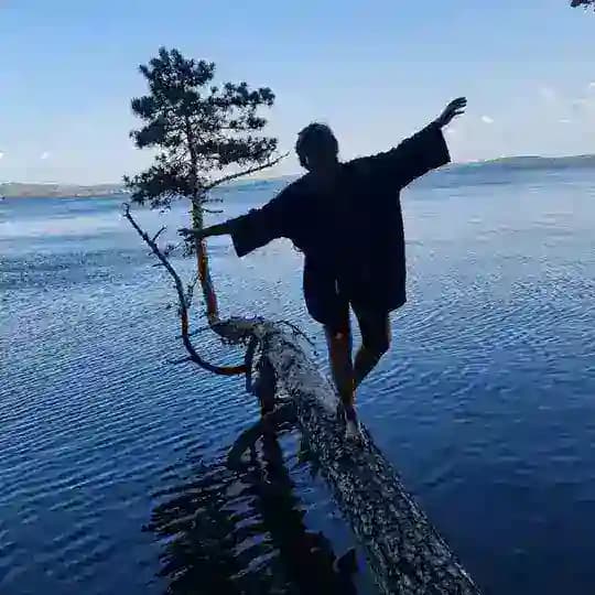 Мультфильмы и жизнь