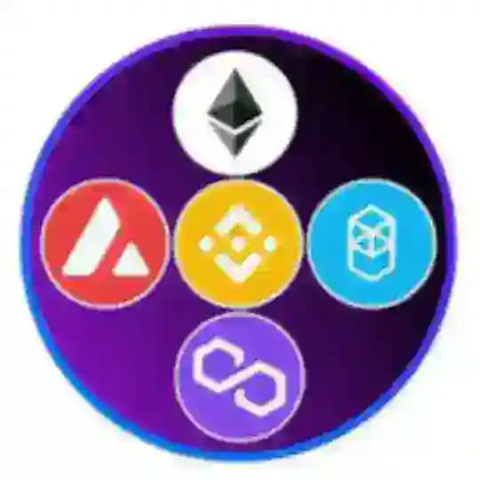 multiversecapital