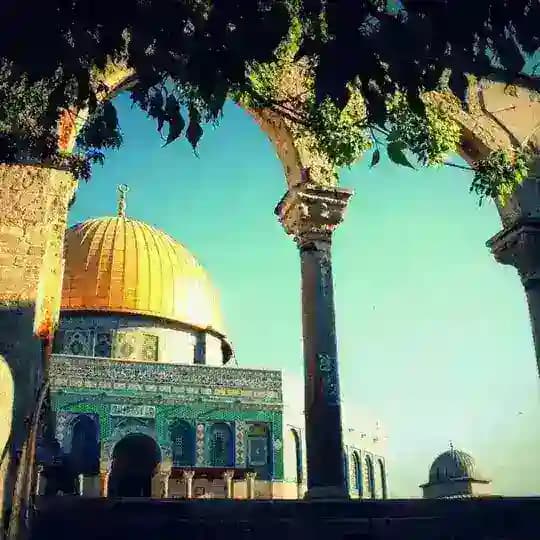 مؤمن مقداد Profile