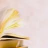 моя подруга книга