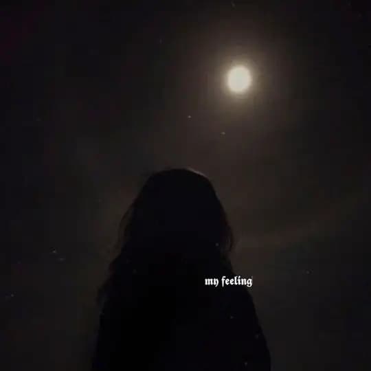 𝖒𝖞 𝖋𝖊𝖊𝖑𝖎𝖓𝖌 Profile