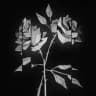 elta's dark collection