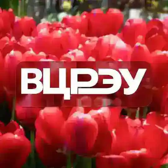 Волонтеры Плехановки