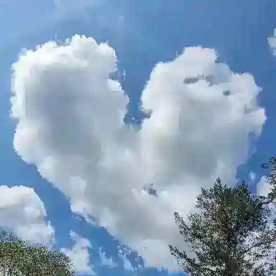 °•♡Nadine ungeschminkt♡•° Profile