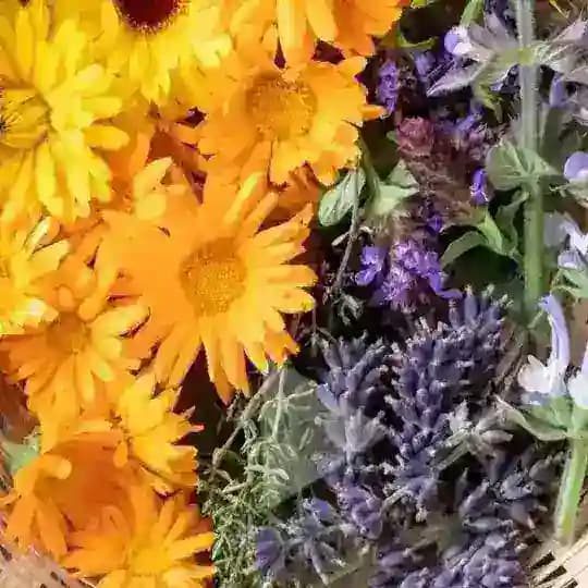 Wild remedy