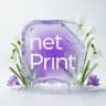 netprint.ru