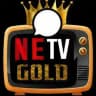 Netv Gold V10 Bilgi