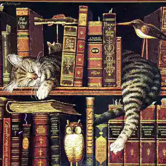 Страницы забытых книг