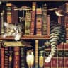 Страницы забытых книг
