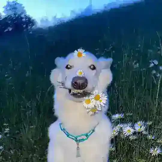 мне не всё равно