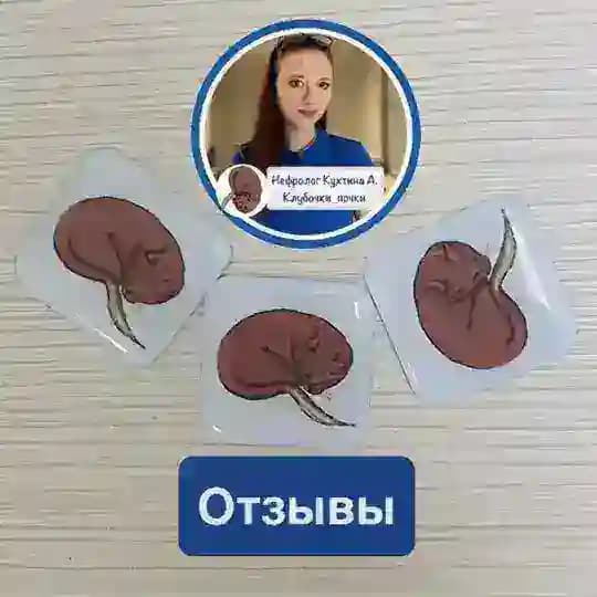 Отзывы нефролог Кухтина