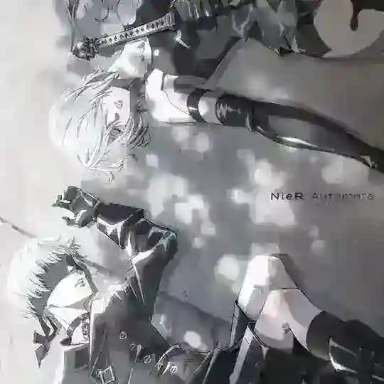 Nier Automata Ver 1.1a