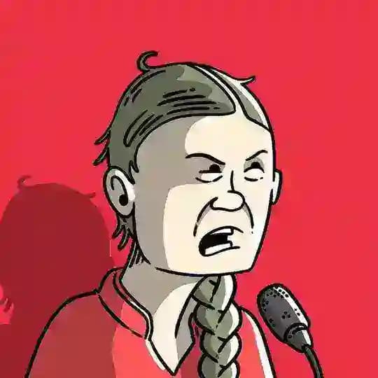 Неустойчивое развитие